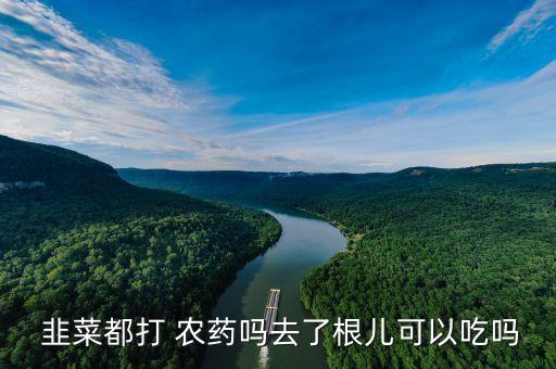 韭菜為什么不打農藥,韭菜要打農藥嗎