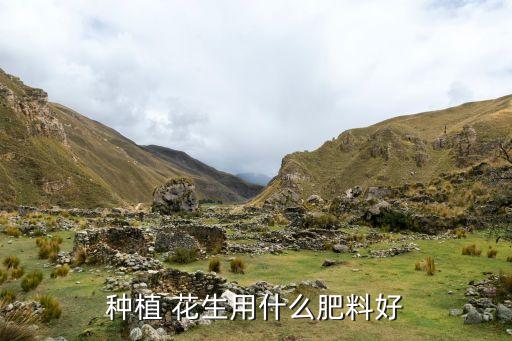 花生苗早期用什么農藥化肥,花生芽苗