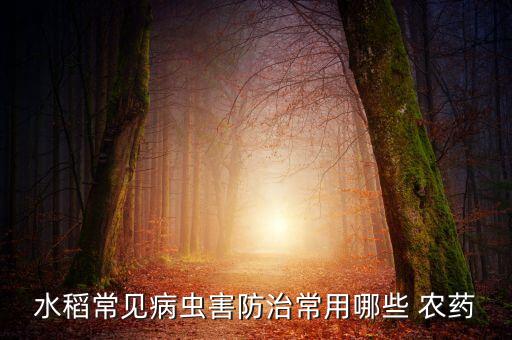 泡稻種的農(nóng)藥有什么成分