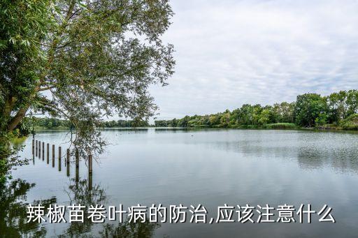  辣椒苗卷葉病的防治,應(yīng)該注意什么