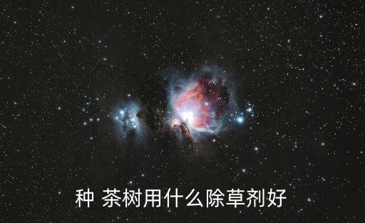 種 茶樹用什么除草劑好