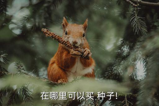 什么網(wǎng)賣農(nóng)藥種子,附近有賣農(nóng)藥種子的地方嗎