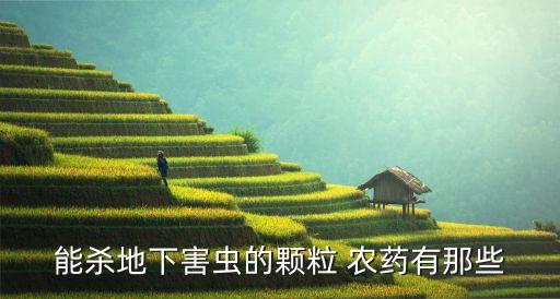 螻蛄危害作物噴灑什么農藥