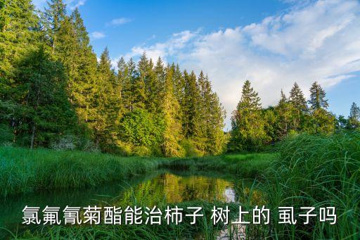 氯氟氰菊酯能治柿子 樹上的 虱子嗎