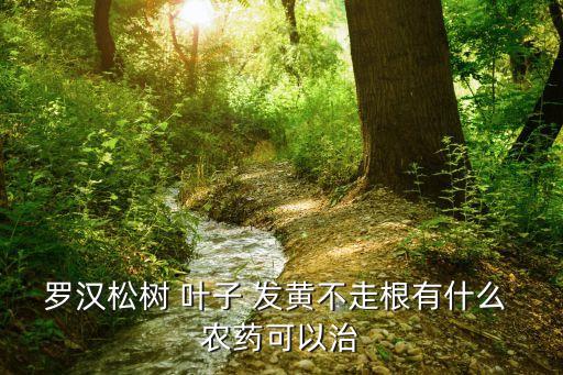 葉子發(fā)黃用什么農(nóng)藥,飛羽葉子發(fā)黃什么原因