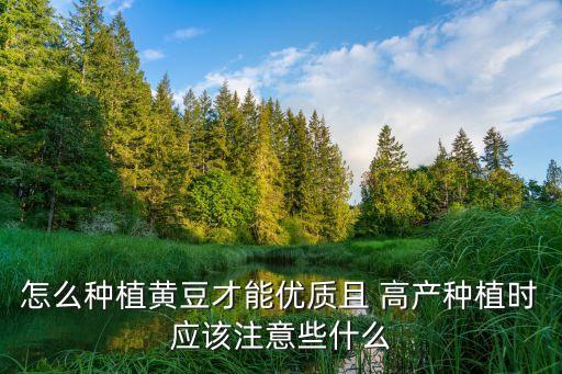 大豆打什么農(nóng)藥高產(chǎn),大豆需要打農(nóng)藥嗎