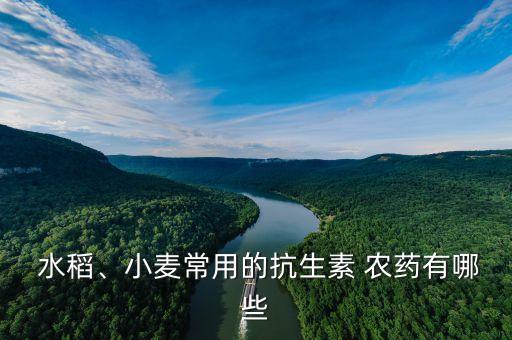 水稻當前用什么農藥,水稻農藥什么時間打效果最好