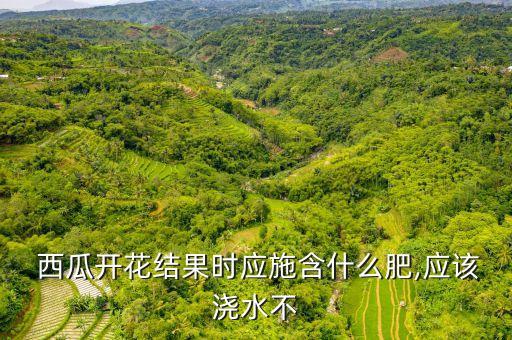  西瓜開花結(jié)果時(shí)應(yīng)施含什么肥,應(yīng)該澆水不
