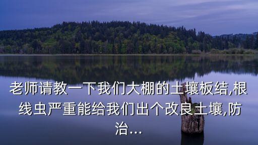 老師請教一下我們大棚的土壤板結,根 線蟲嚴重能給我們出個改良土壤,防治...