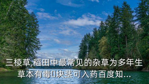 殺節節草用什么農藥,三楞草什么農藥藥它
