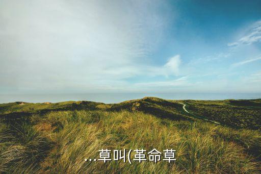 ...草叫(革命草