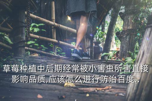 智利蟲的農藥是什么,地蟲硫磷是什么農藥