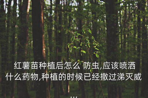 紅薯要噴什么農(nóng)藥呢,紅薯防蟲(chóng)用什么農(nóng)藥