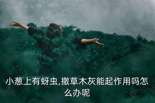 種蔥可以加點(diǎn)什么農(nóng)藥殺蟲