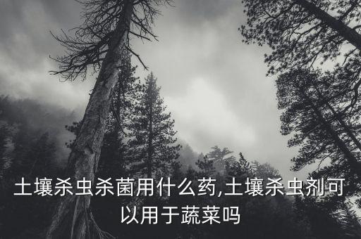 土壤殺蟲殺菌用什么藥,土壤殺蟲劑可以用于蔬菜嗎