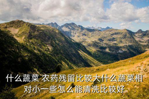 什么蔬菜 農藥殘留比較大什么蔬菜相對小一些怎么能清洗比較好