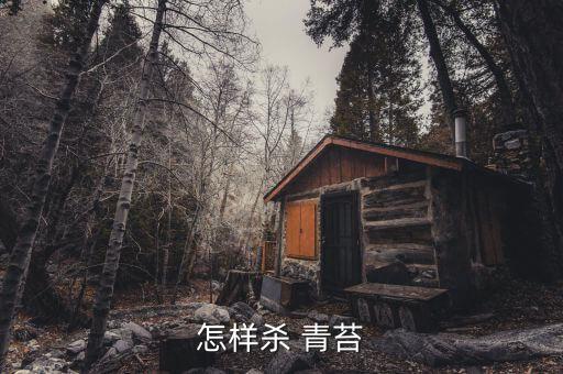 青苔用什么農(nóng)藥快速去除,什么農(nóng)藥可以殺死青苔