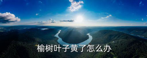  榆樹葉子黃了怎么辦