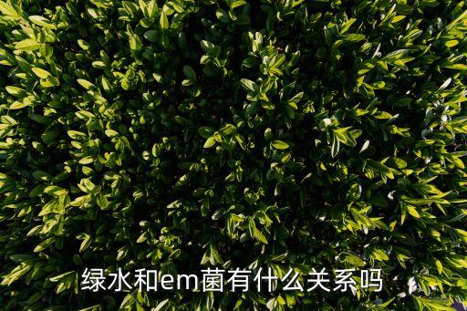 紅菌種植用什么農藥,種植菌菇需要打農藥嗎