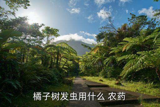 橘子樹發蟲用什么 農藥