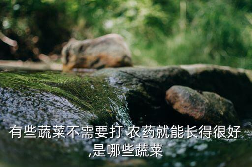 ,堅持不打農藥的菜叫什么