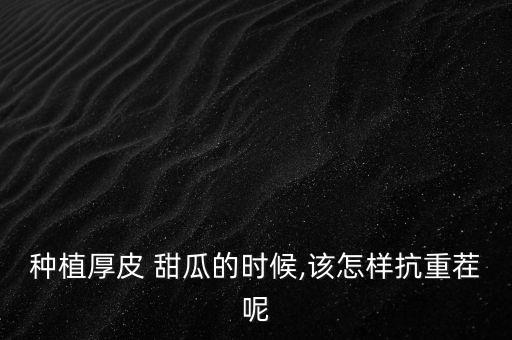 種植厚皮 甜瓜的時候,該怎樣抗重茬呢
