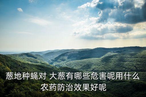 蔥地種蠅對 大蔥有哪些危害呢用什么 農藥防治效果好呢