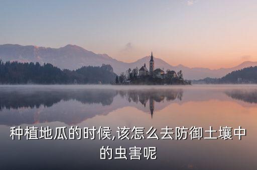 種植地瓜的時候,該怎么去防御土壤中的蟲害呢