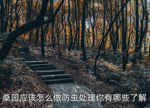 什么農藥可以殺桑樹根,桑樹結果用什么農藥