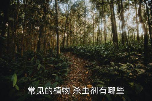 常見的植物 殺蟲劑有哪些