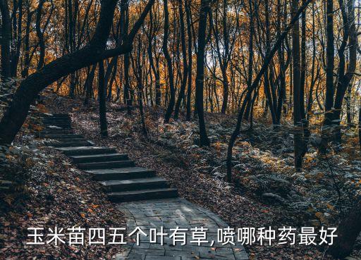 玉米發芽用什么農藥,玉米在什么情況下發芽