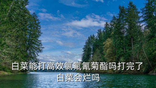  白菜能打高效氯氟氰菊酯嗎打完了 白菜會爛嗎