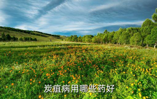 治療炭疽病最新農(nóng)藥是什么,炭疽病特效農(nóng)藥是什么?