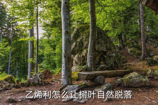 果子打什么農藥不會掉葉子,什么菜不會打農藥
