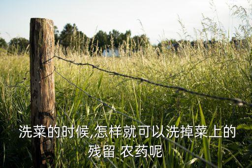 洗菜用什么去農藥最好,什么東西洗菜去農藥效果好