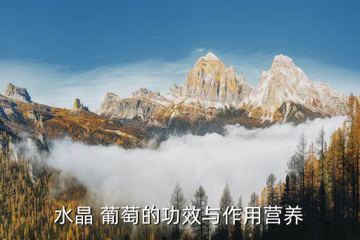 葡萄根用什么農藥泡最好,葡萄需要打什么農藥