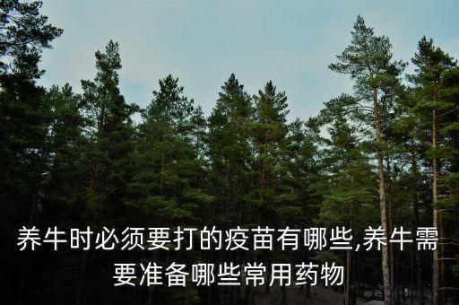 養牛時必須要打的疫苗有哪些,養牛需要準備哪些常用藥物
