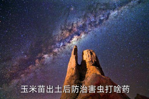  玉米苗出土后防治害蟲打啥藥