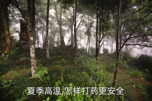 夏天農藥噴霧注意什么,夏天噴灑農藥時要注意的是