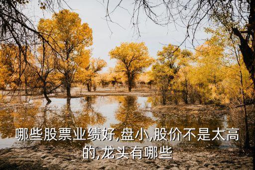 哪些股票業績好,盤小,股價不是太高的,龍頭有哪些