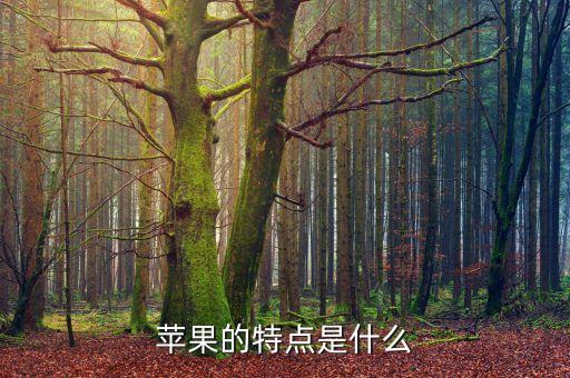 蘋果的特點是什么