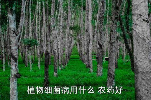 植物細菌病用什么 農藥好