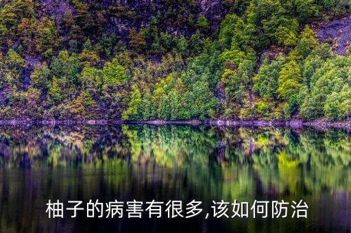 柚子裝袋希噴什么農藥
