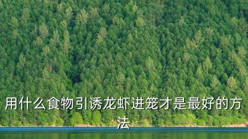 用什么食物引誘龍蝦進籠才是最好的方法