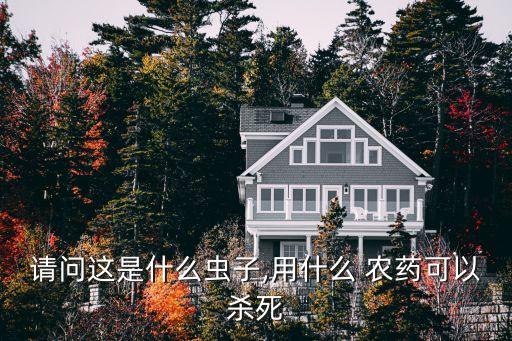 現在黃楊樹打什么農藥