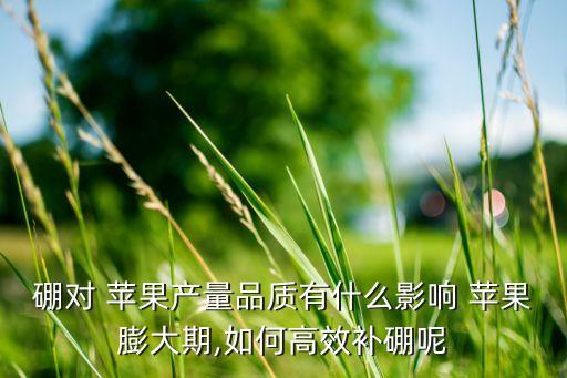 硼對 蘋果產量品質有什么影響 蘋果膨大期,如何高效補硼呢
