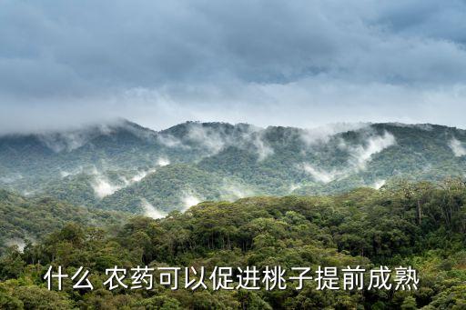 打農藥不用背的機器,打什么農藥不用抹芽