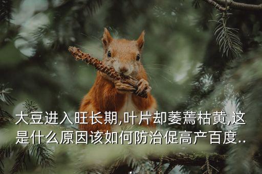 黃豆生病打什么農藥,黃豆用什么農藥