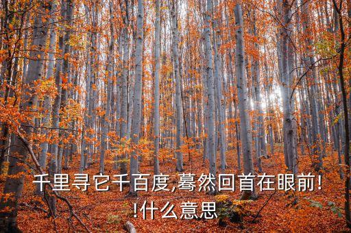  千里尋它千百度,驀然回首在眼前!!什么意思