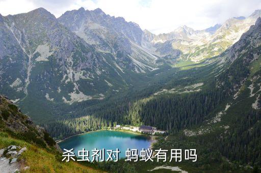 殺螞蟻打什么農藥,螞蟻用什么農藥可以除掉它
